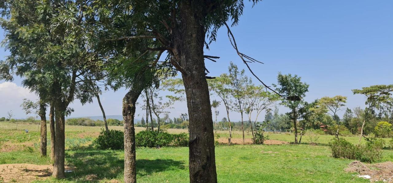 Mweiga Le Tai Village Resort Near Solio Game Reserve מראה חיצוני תמונה